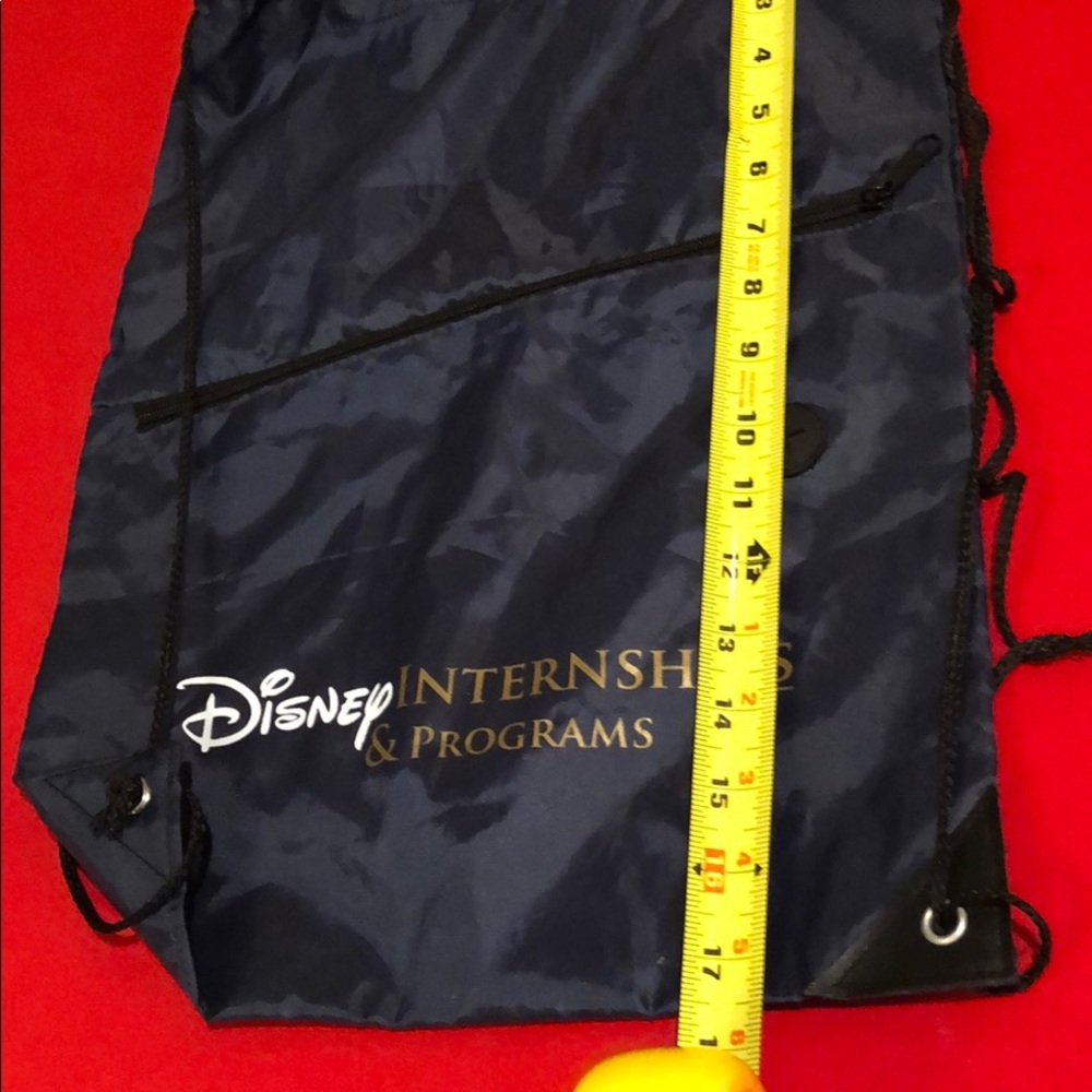 Disney Internship Drawstring Nylon Backpack - image 5
